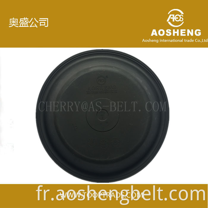 Diaphragme Aosheng T30L pour camion Renault fabriqué en Chine